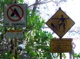 Roadsign : méduses