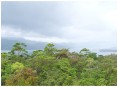 Laguna de Arenal