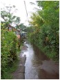 Ruelle après la pluie