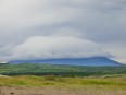 Vue sur le Miohúsaskógur