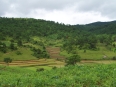 Trekking de Yazakyi au monastère Me'ne ou Htin Shu Kone