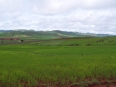 Trek de Yazakyi au monastère Me'ne ou Htin Shu Kone