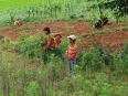 Vie agrcole en famille