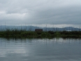 Cultures du lac Inle