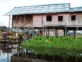 Maisons sur pilotis