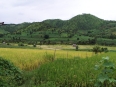 Lac Inle : randonnée