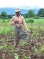 Village Mann Aung : agriculteur