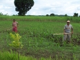 Village de Yae Cho : agricultueurs