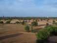 Paya Shwesandaw : Panorama  Terrasse