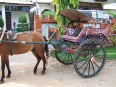 Calèche pour Bagan