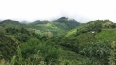 Trek de Yazakyi au monastère Me'ne ou Htin Shu Kone