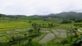 Lac Inle : rizières