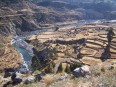 Canyon de Colca : cultures en terrasse