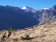 Canyon de Colca : Mismi (5 597 m)