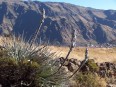 Vue sur Cabanaconde