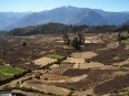Cultures sur haut plateau