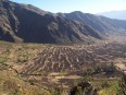 Cultures sur haut plateau