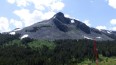 Paysage : Tioga Road