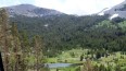 Paysage : Tioga Road