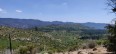 Paysage : Tioga Road