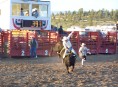 Rodeo : bull riding